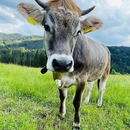 Bergheimat In Fuer Bis Zu 14 Personen Casa de Férias Burgberg (Bavaria)