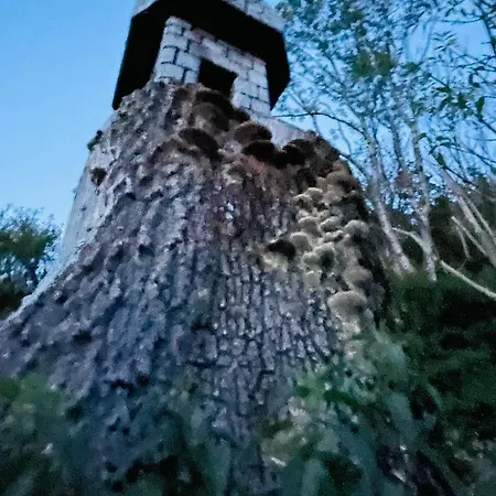 Landhaus Bergheimat Burgberg (Bavaria)